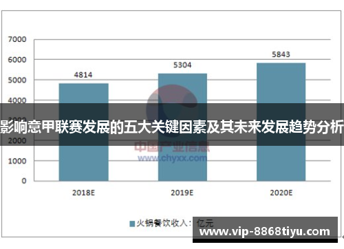 影响意甲联赛发展的五大关键因素及其未来发展趋势分析 影响意甲联赛发展的五大关键因素及其未来发展趋势分析