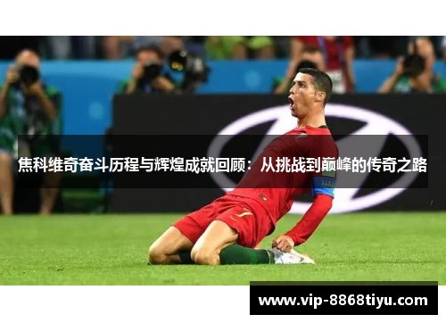 焦科维奇奋斗历程与辉煌成就回顾：从挑战到巅峰的传奇之路