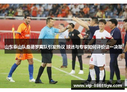 山东泰山队桑德罗离队引发热议 球迷与专家如何评价这一决策 山东泰山队桑德罗离队引发热议 球迷与专家如何评价这一决策