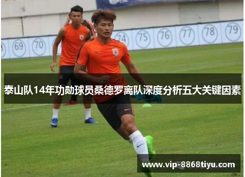 泰山队14年功勋球员桑德罗离队深度分析五大关键因素