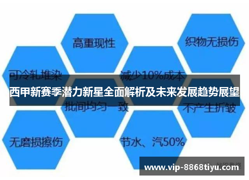 西甲新赛季潜力新星全面解析及未来发展趋势展望 西甲新赛季潜力新星全面解析及未来发展趋势展望