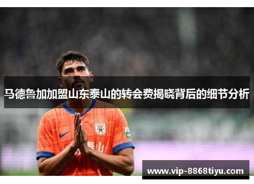 马德鲁加加盟山东泰山的转会费揭晓背后的细节分析 马德鲁加加盟山东泰山的转会费揭晓背后的细节分析