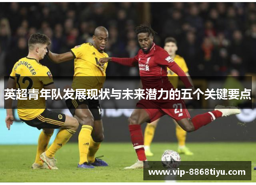 英超青年队发展现状与未来潜力的五个关键要点 英超青年队发展现状与未来潜力的五个关键要点