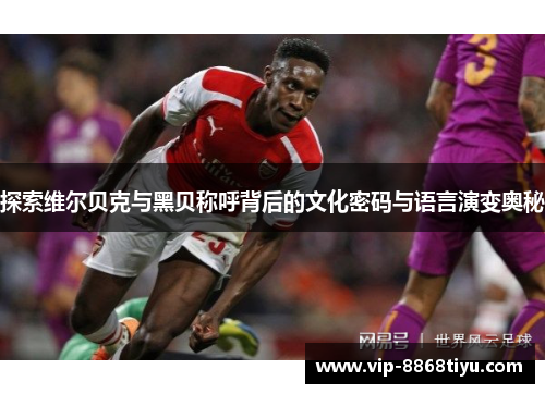 探索维尔贝克与黑贝称呼背后的文化密码与语言演变奥秘 探索维尔贝克与黑贝称呼背后的文化密码与语言演变奥秘