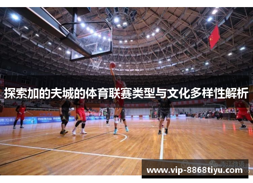 探索加的夫城的体育联赛类型与文化多样性解析